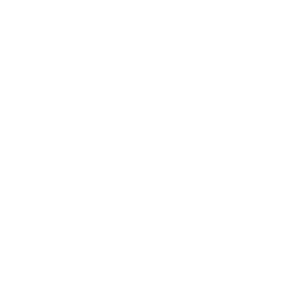 gluten free icon