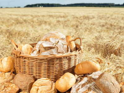 Basket of Brot & Brötchen in field in Germany.